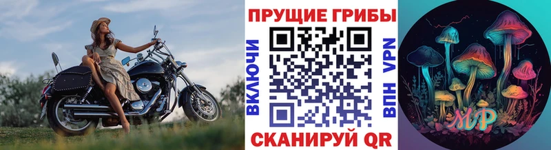 Галлюциногенные грибы мухоморы  мега сайт  Багратионовск  даркнет сайт 