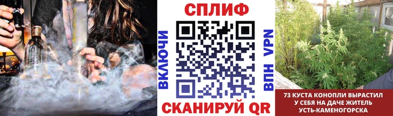 Канабис индика  omg ONION  Багратионовск 